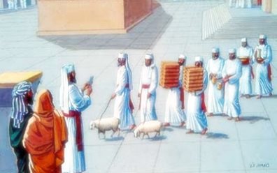 Жертвоприношения, приносимые в Иерусалимском Храме (часть 1)