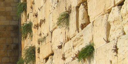 Огромный камень выпал из Стены плача — знак Освобождения?