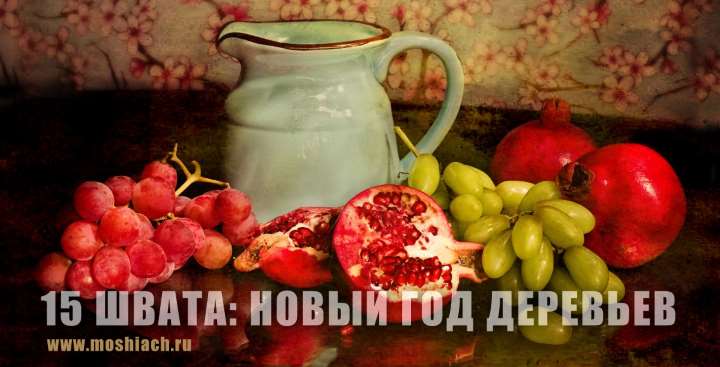 15 Швата: Новый год деревьев 15 Швата: Новый год деревьев