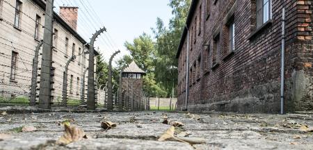 Could the Pope Have Saved Jews During the Holocaust?