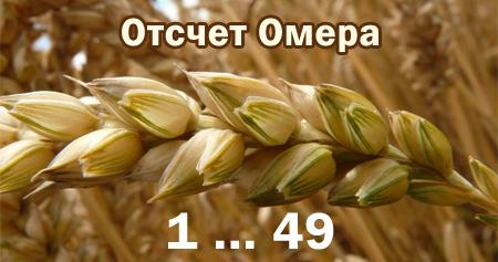 Отсчет ожидания Освобождения Отсчет ожидания Освобождения