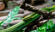 ��� ���������� �� ������ � ����� ������?