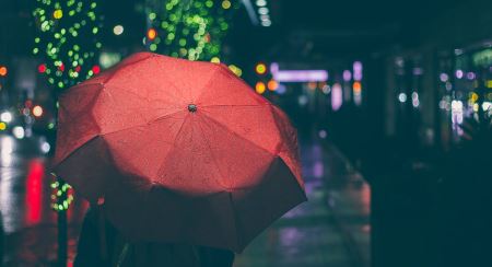 Зонтик в дождливый день совершил переворот в одной семье