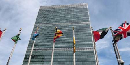 Противостоять террористам в Организации Объединенных Наций